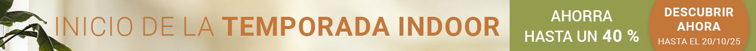 promo-banner