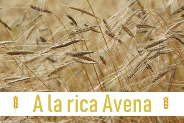 A la rica avena