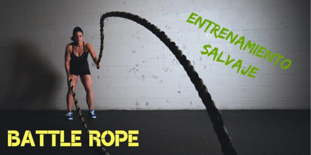 Battle Ropes