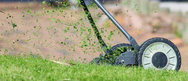 Trabajo activo de jardinería