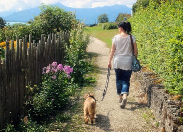 Monetiza tu fitness paseando perros por encargo