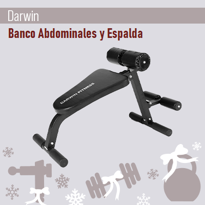 AB y Espalda Darwin