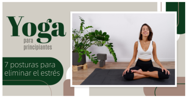 Yoga para Principiantes